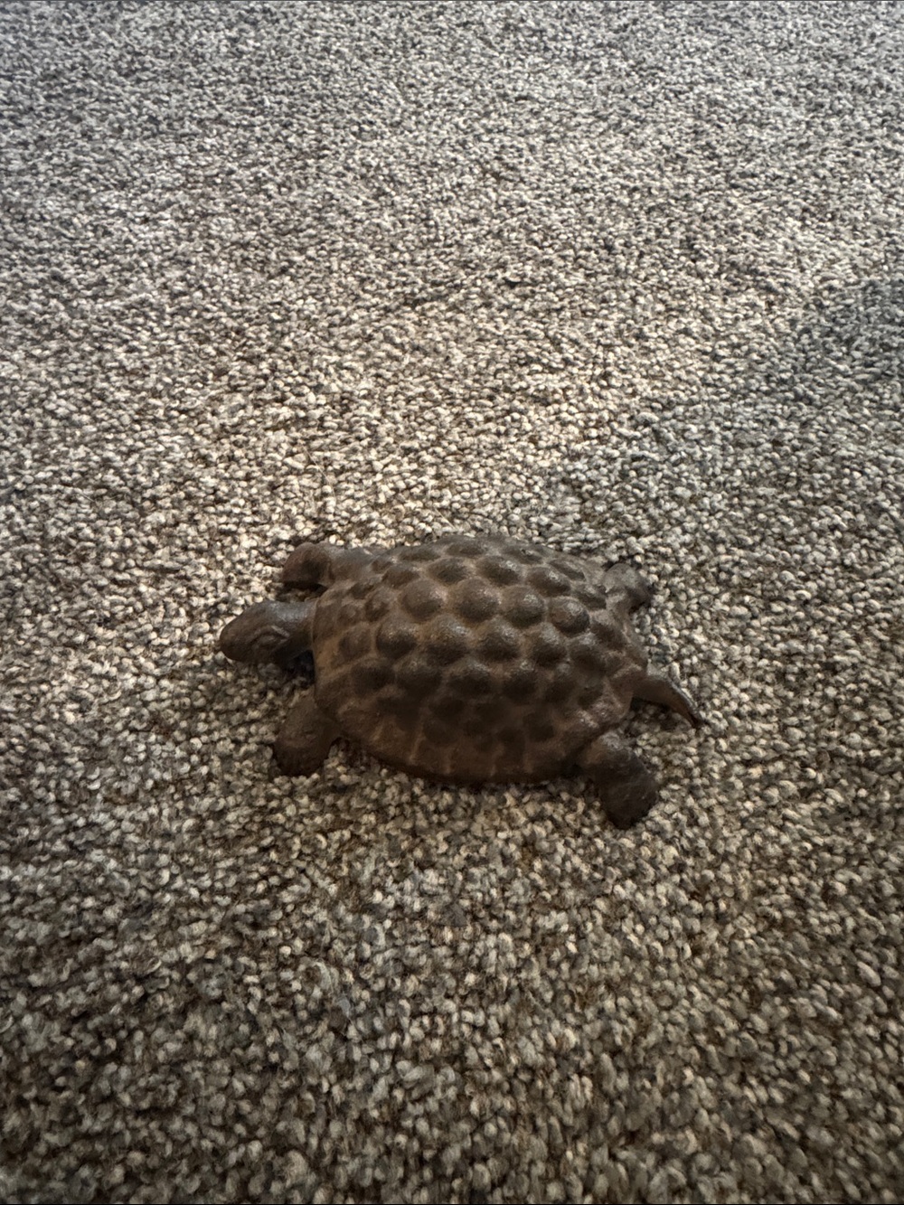 Antique Iron Turtle Paperweight from Mid 1960s